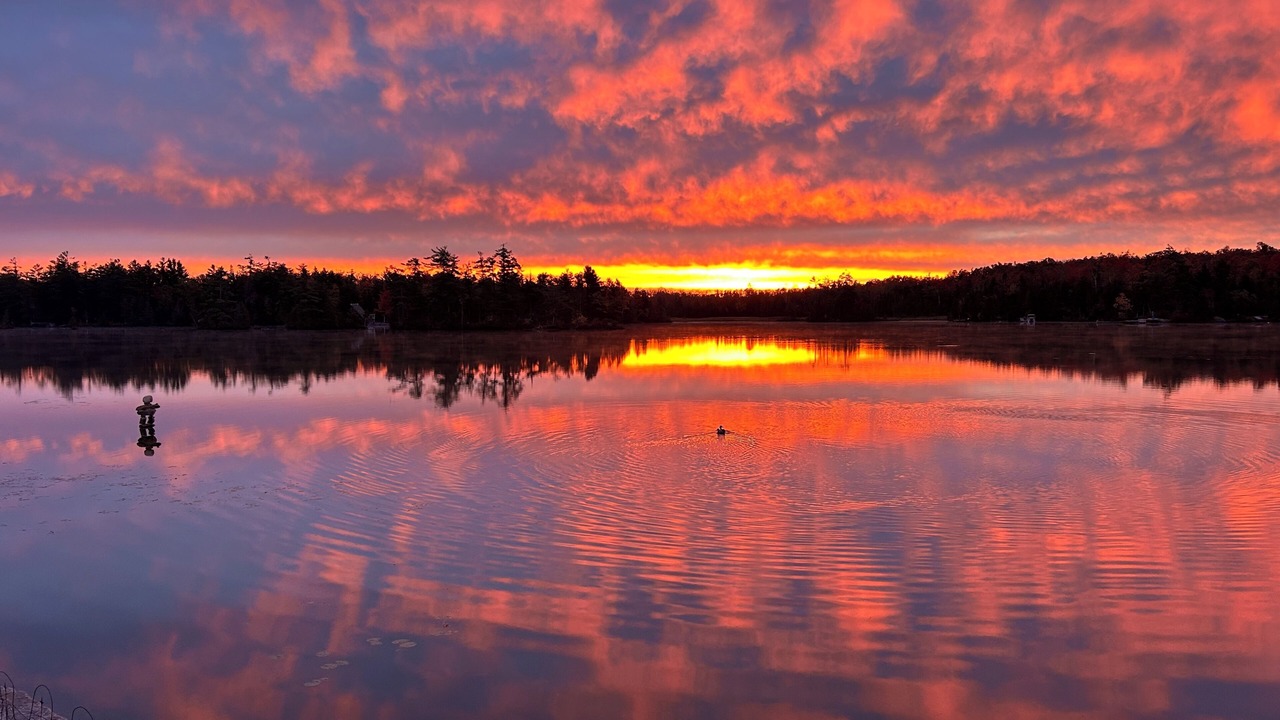 Photo of Others in Trent Lakes
