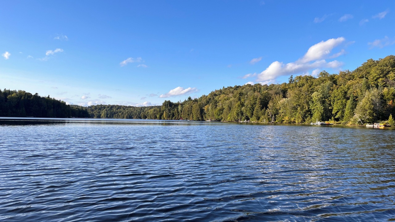 Photo of Others in Wentworth-Nord