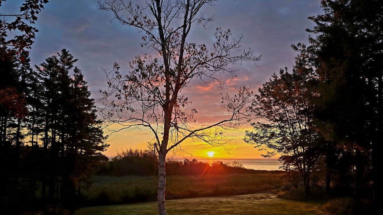 Photo of Others in Antigonish County