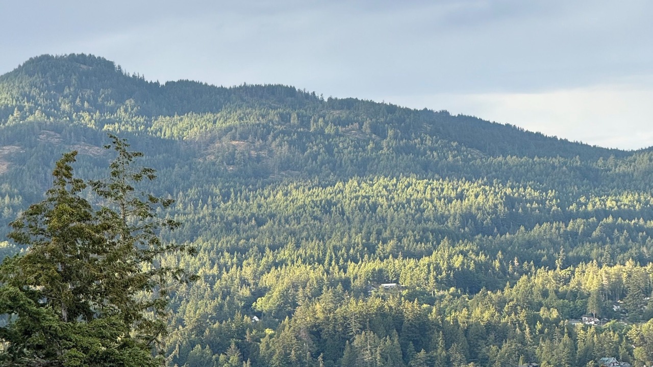 Photo of Others in East Sooke