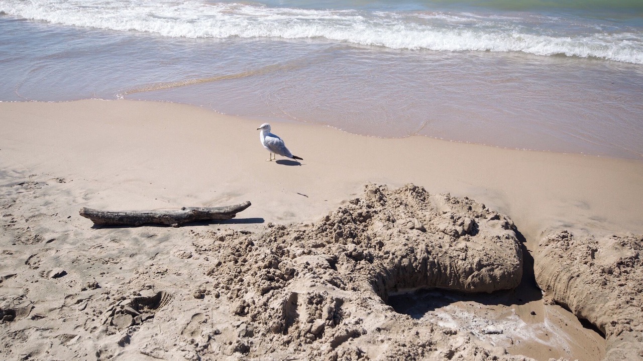 Photo of Others in Grand Bend