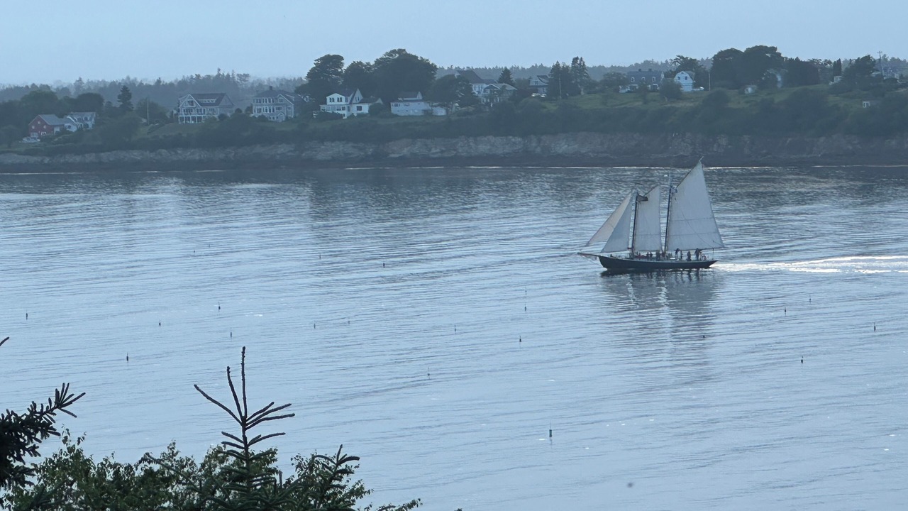 Photo of Others in Mid-Coast and Islands