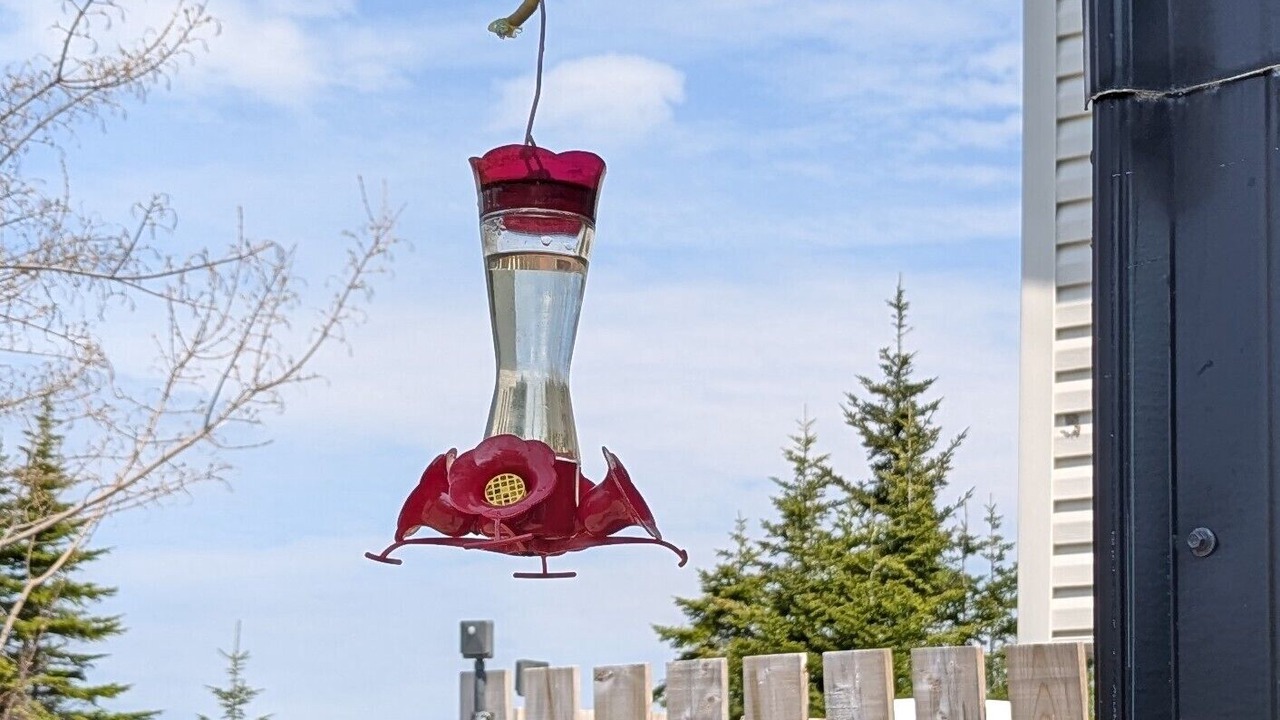 Photo of Others in Port Dufferin