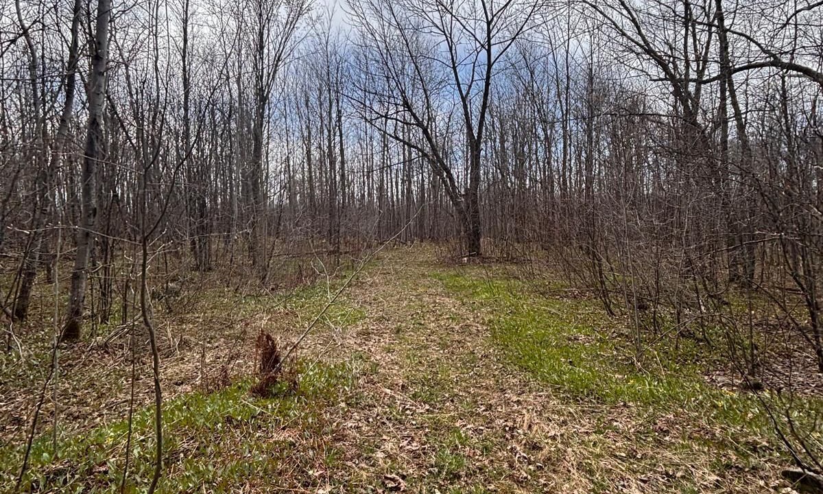 Photo of Others in Wiarton