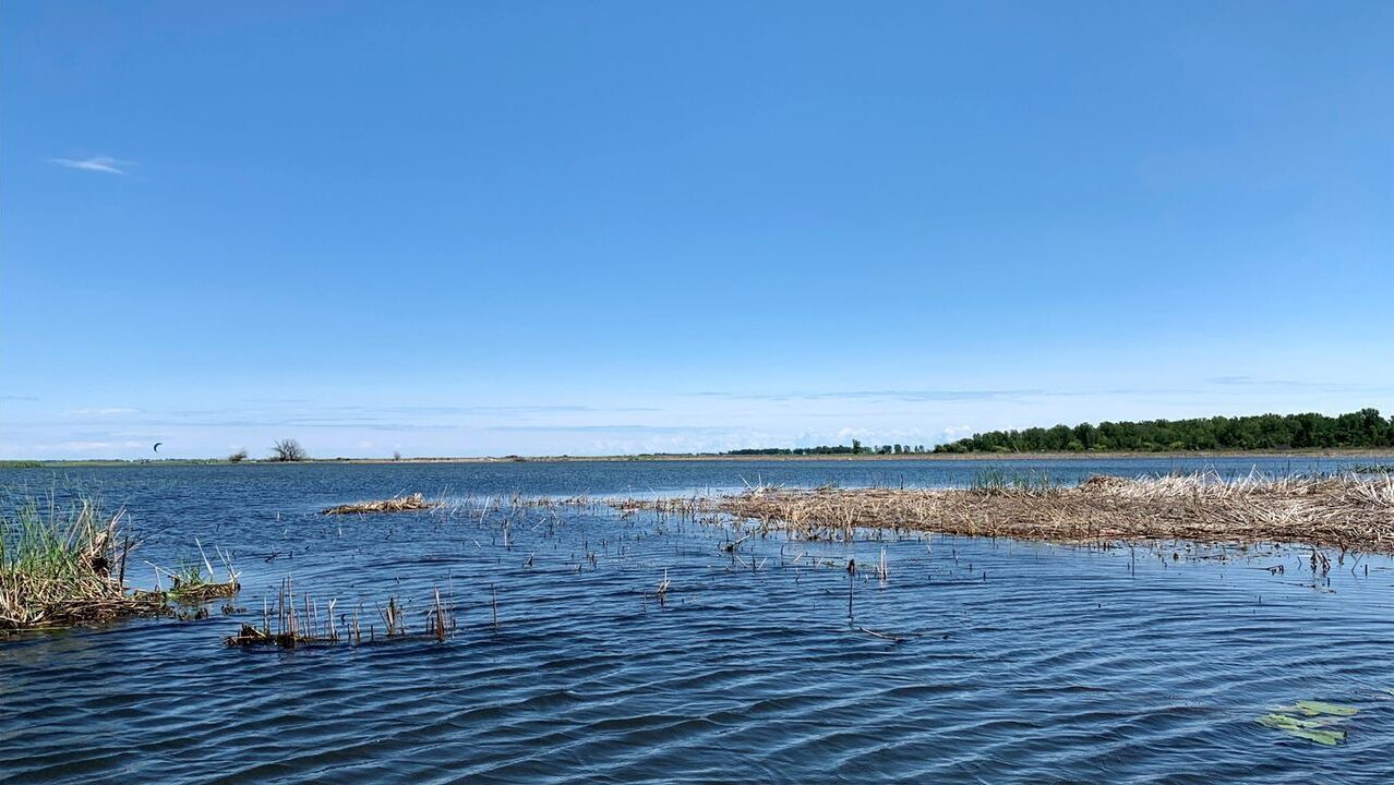 Photo of Others in Long Point