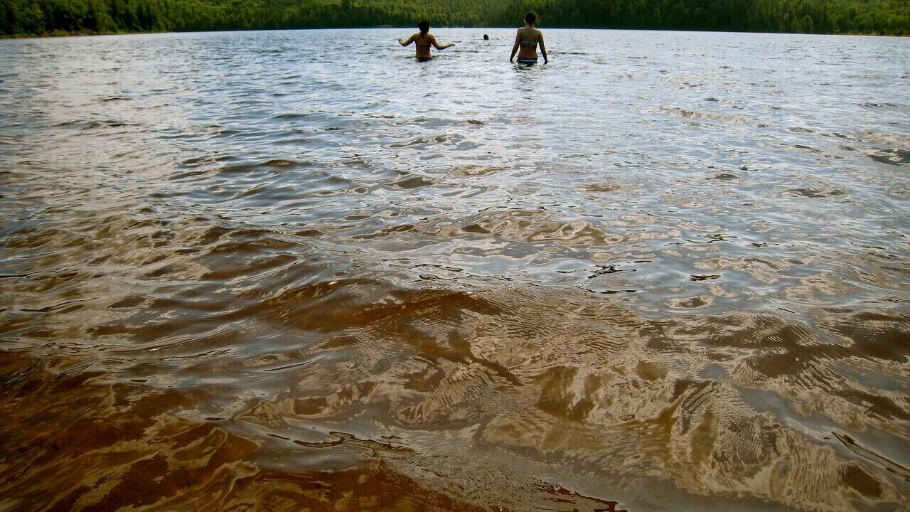 Photo of Others in Algoma District