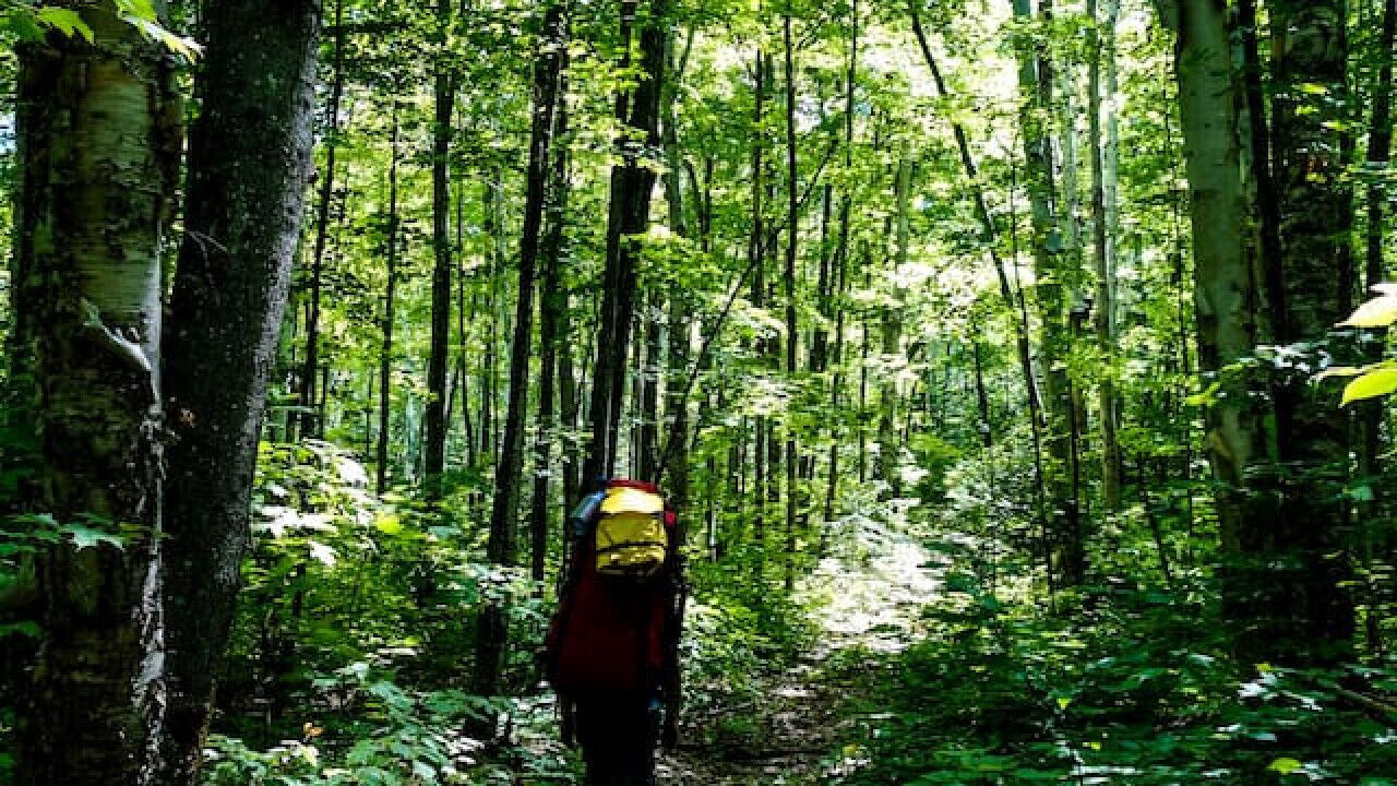Photo of Others in Algoma District
