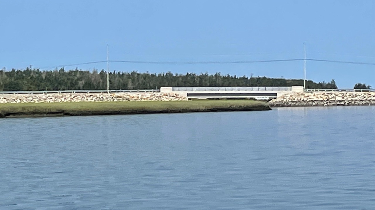 Photo of Others in Yarmouth County