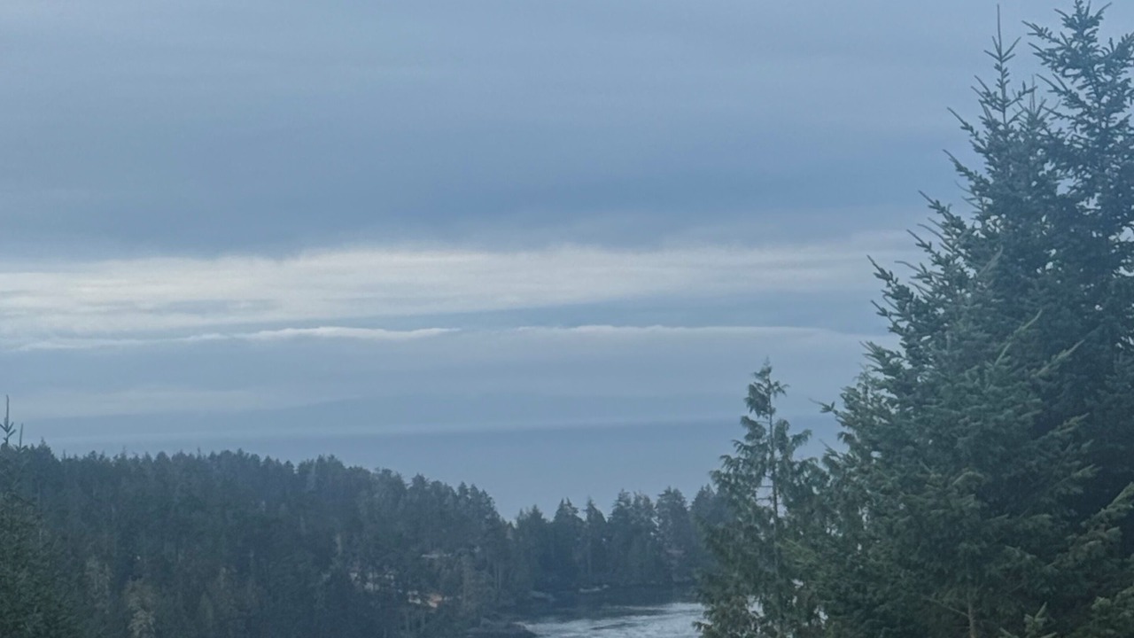 Photo of Others in East Sooke