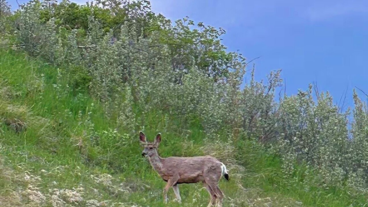 Photo of Others in Cranston