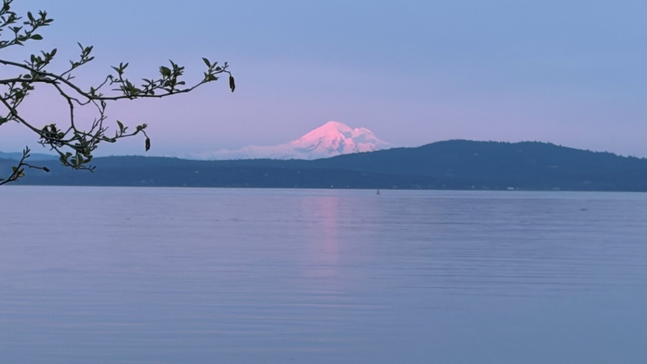 Photo of Others in Cordova Bay