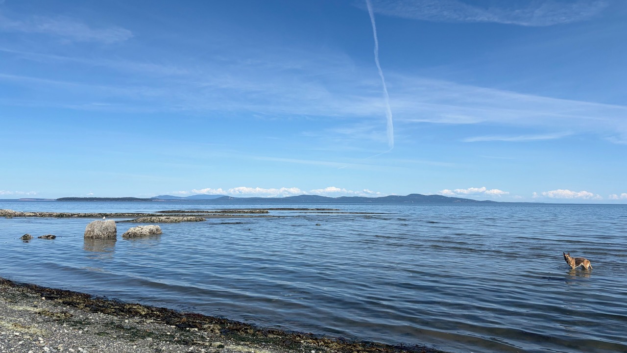 Photo of Others in Cordova Bay