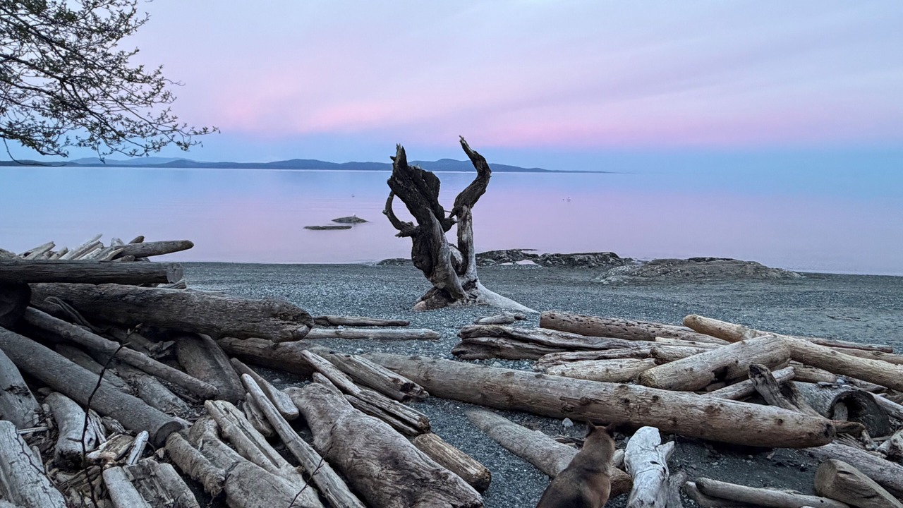 Photo of Others in Cordova Bay
