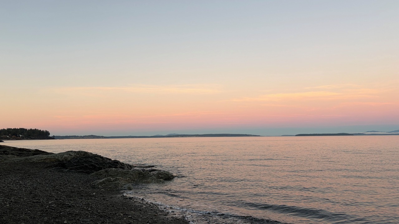 Photo of Others in Cordova Bay