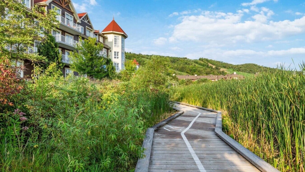 Photo of Outdoor in The Blue Mountains