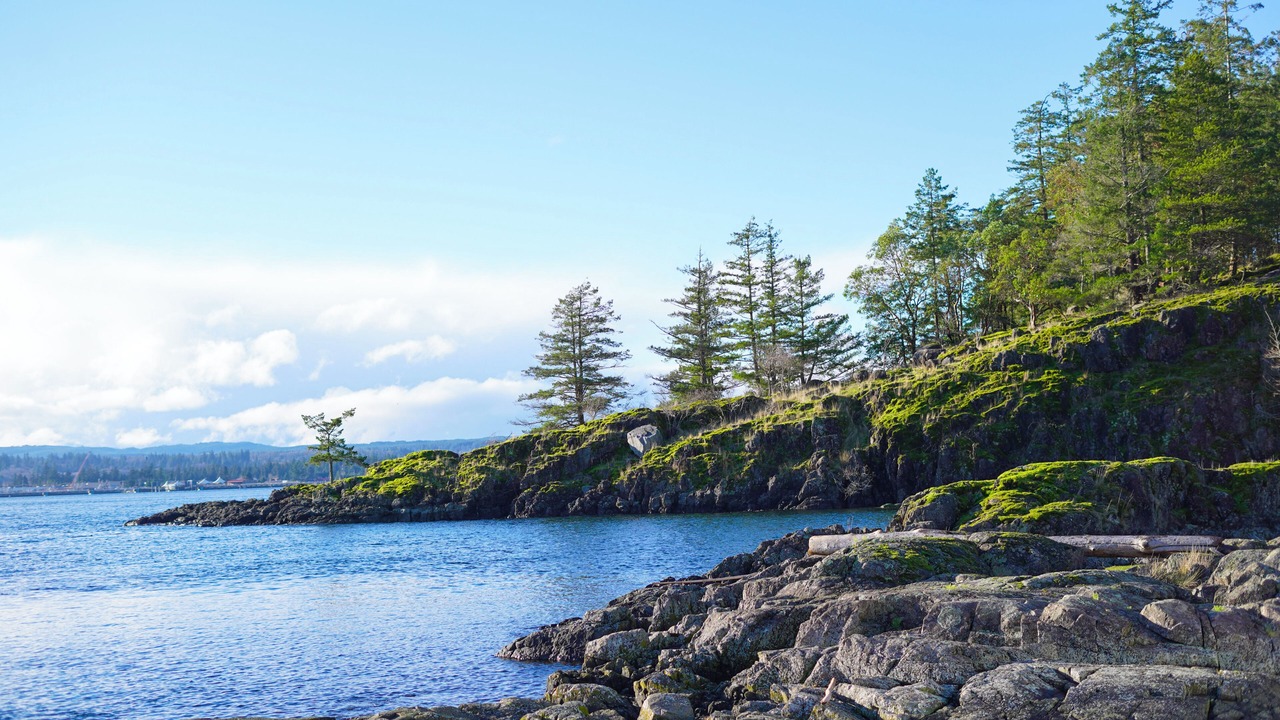 Photo of Others in Discovery Islands