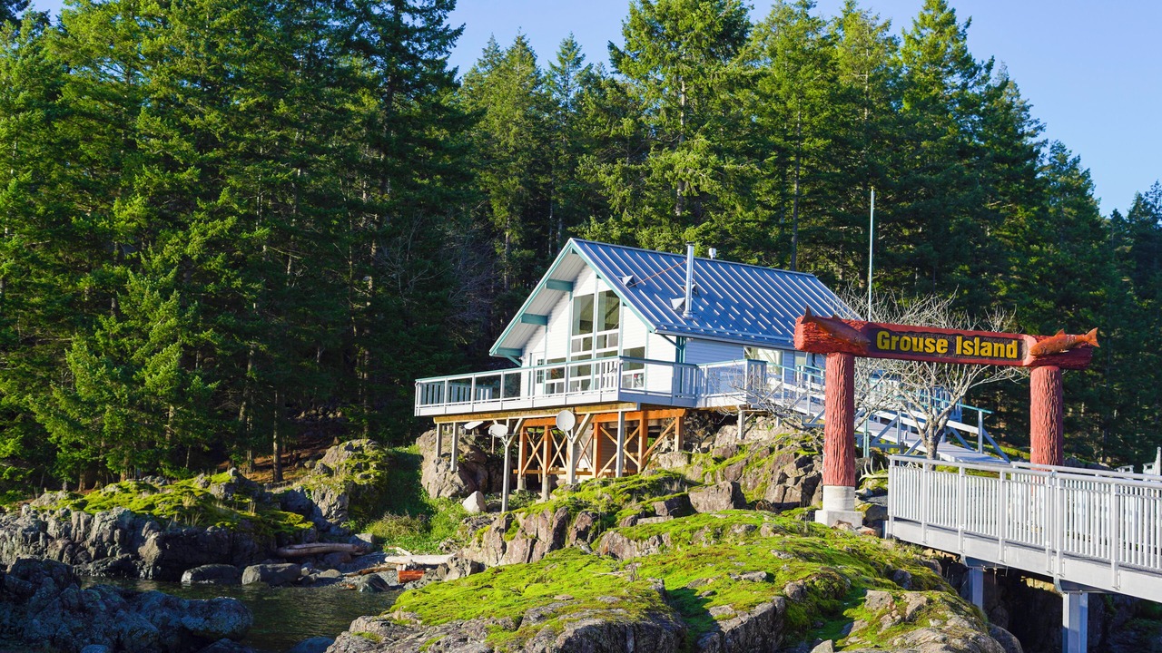 Photo of Others in Discovery Islands
