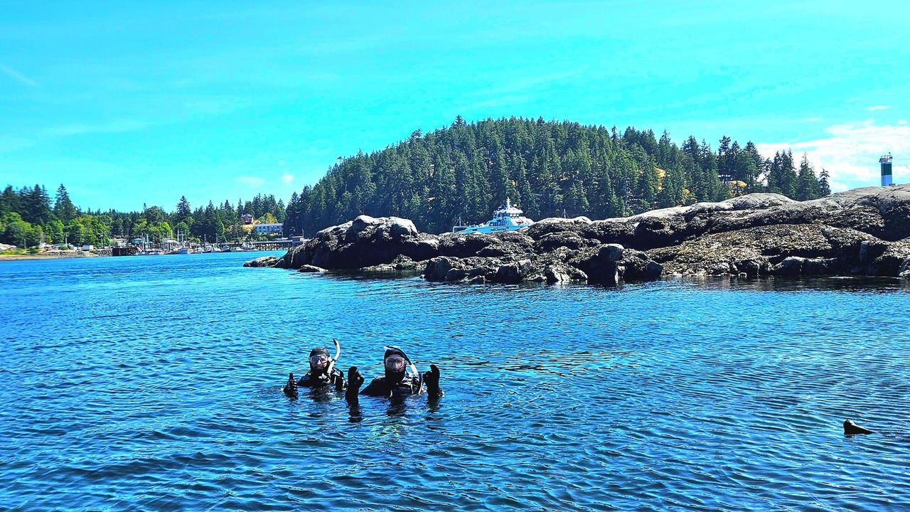 Photo of Others in Discovery Islands