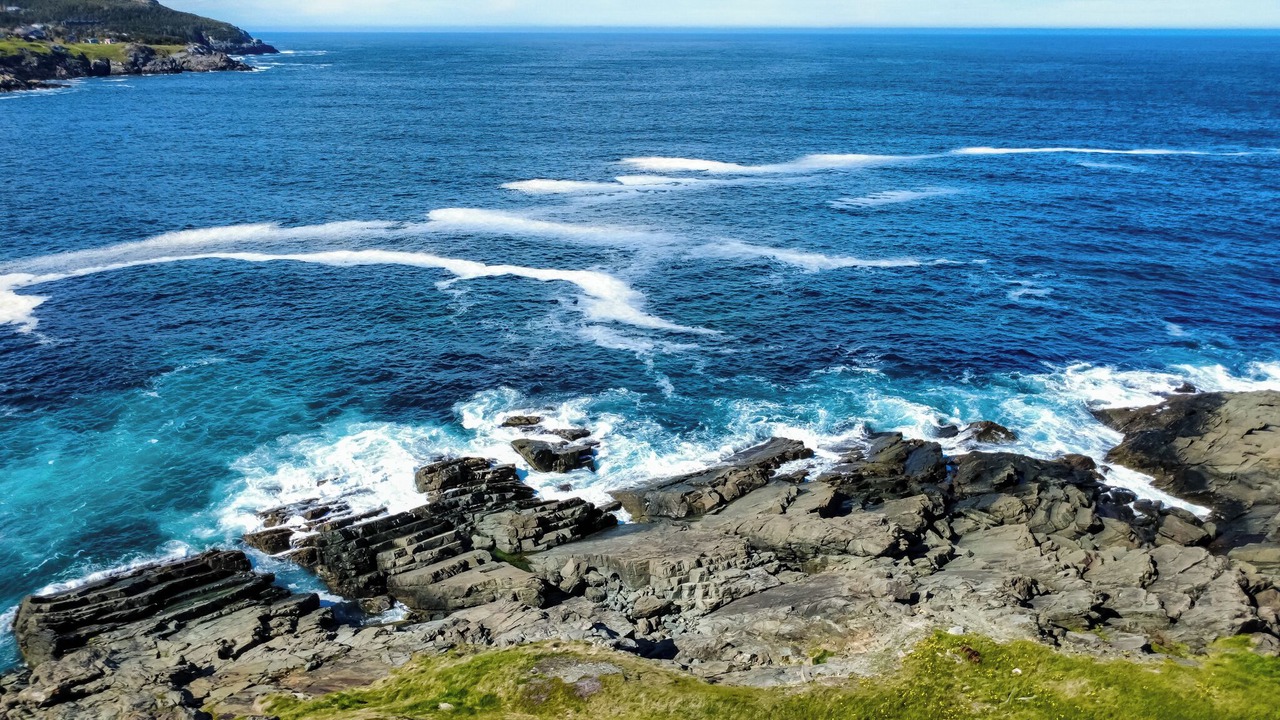 Photo of Others in Pouch Cove