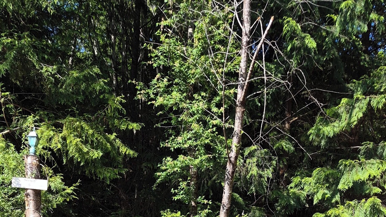 Photo of Outdoor in West Sechelt