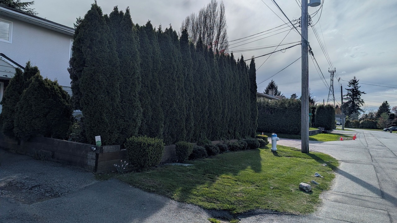 Photo of Outdoor in Delta