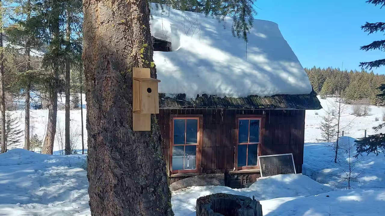 Photo of Outdoor in Rock Creek