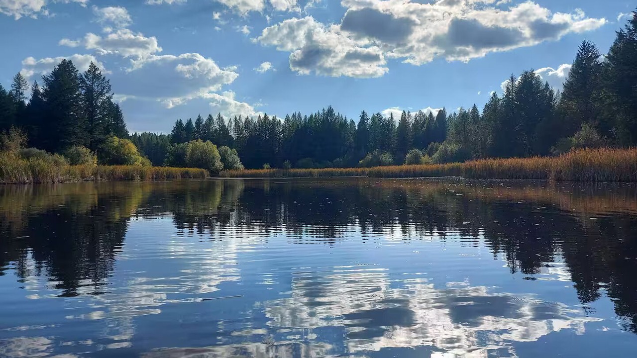 Photo of Others in Rock Creek