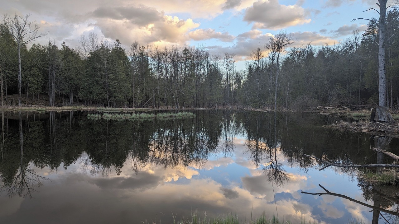 Photo of Others in Central Frontenac