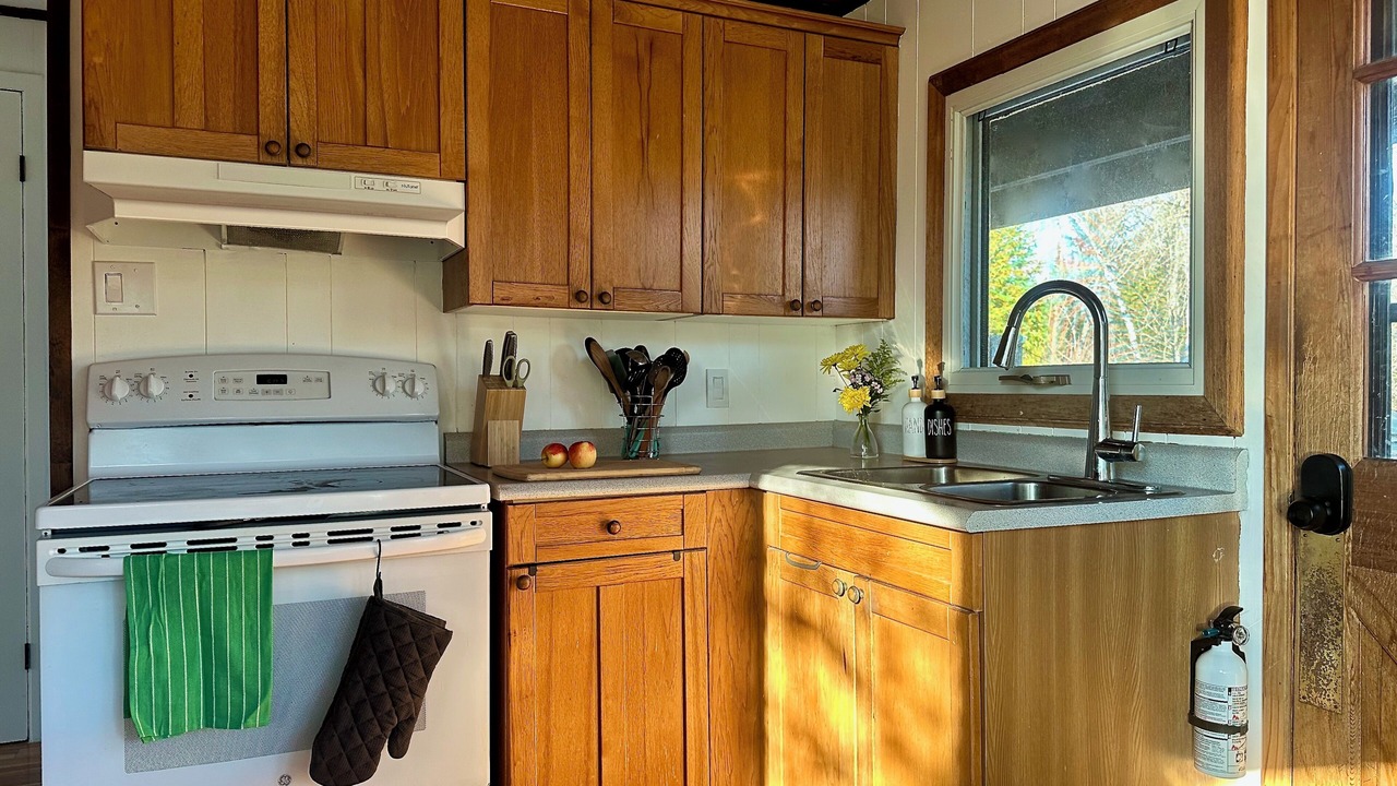 Photo of Kitchen in Roseneath
