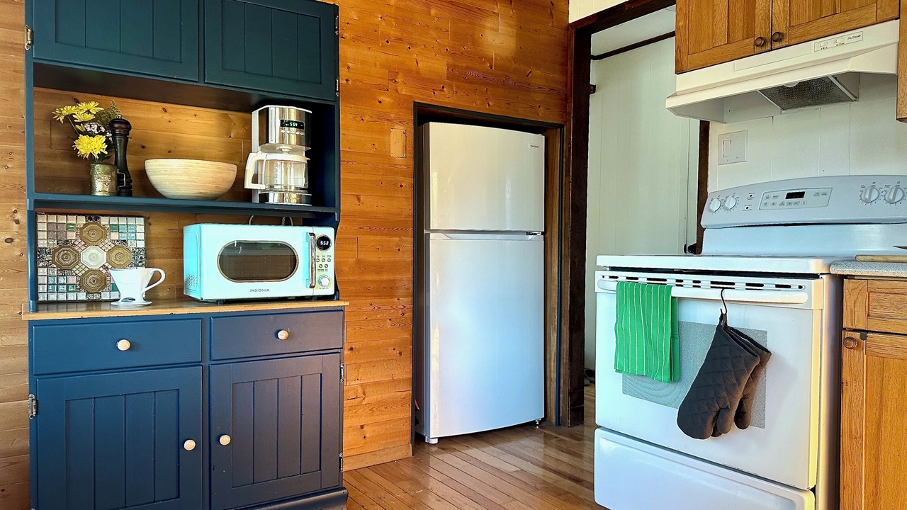 Photo of Kitchen in Roseneath