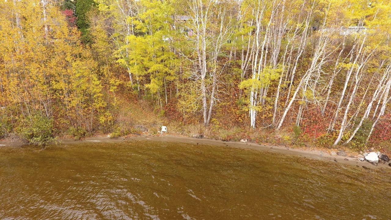 Photo of Others in Lac-Saint-Jean-Est Regional County Municipality
