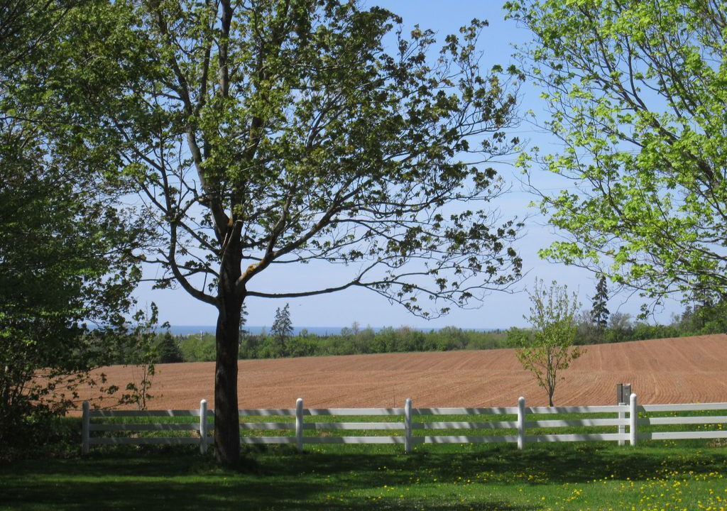 Photo of Others in West Covehead