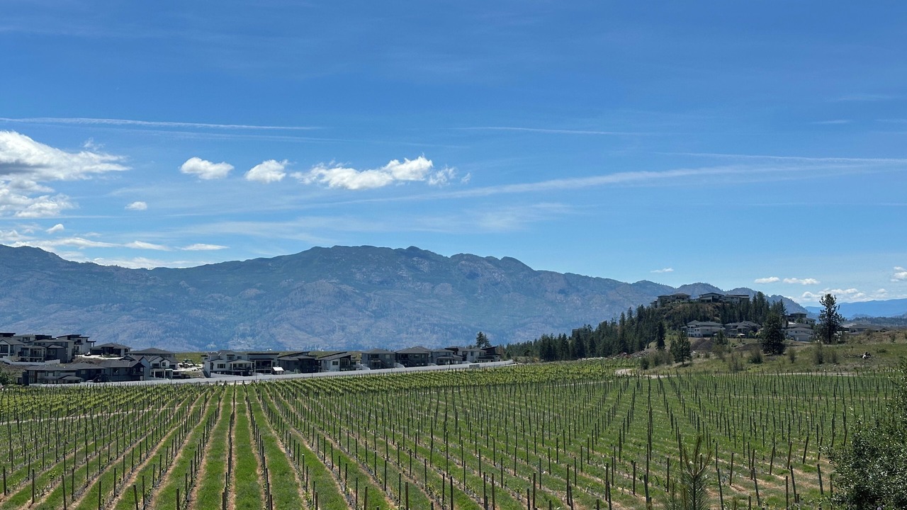 Photo of Others in Central Okanagan