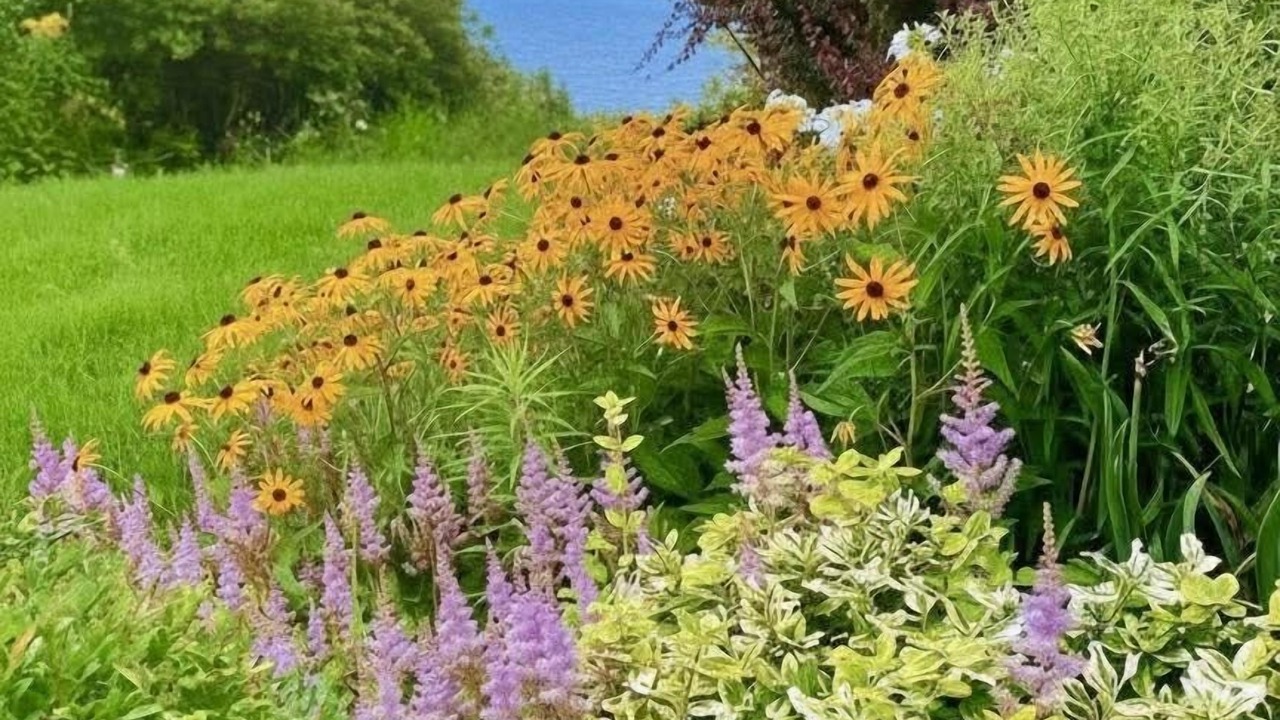 Photo of Outdoor in Charlottetown