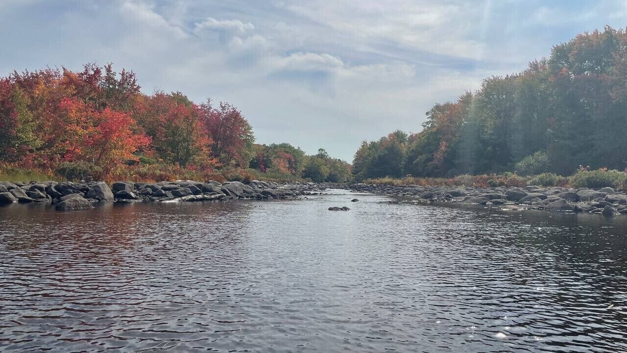 Photo of Others in Lunenburg County
