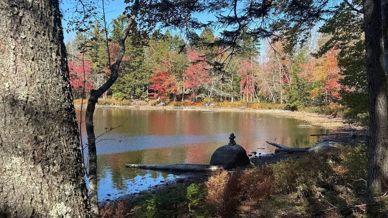 Photo of Others in Lunenburg County