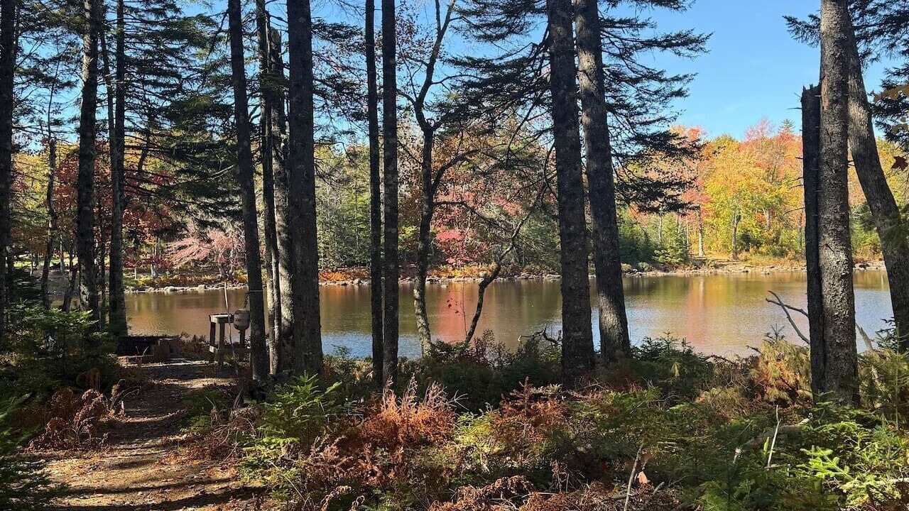 Photo of Others in Lunenburg County
