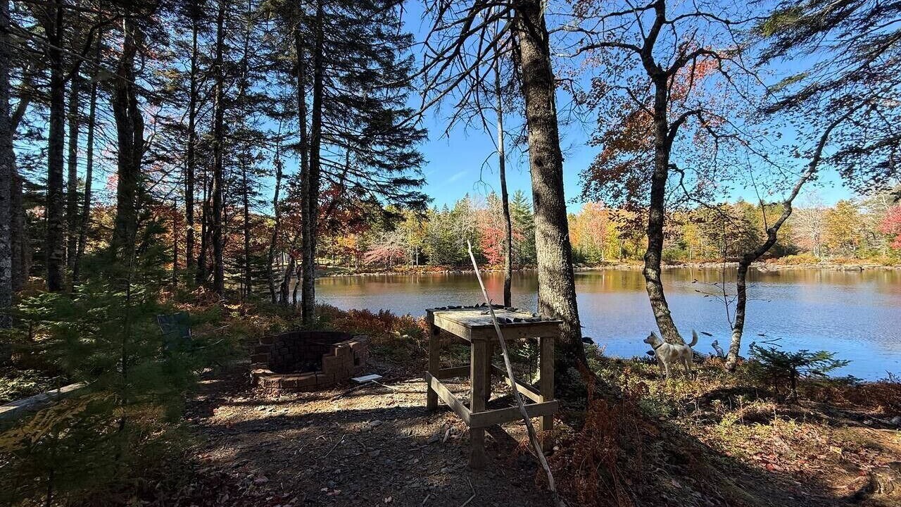 Photo of Outdoor in Lunenburg County