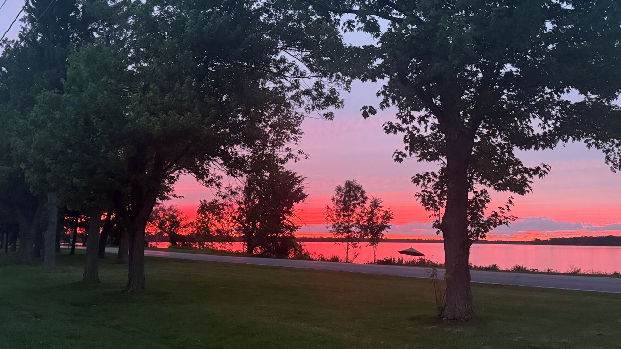 Photo of Others in Fort Erie