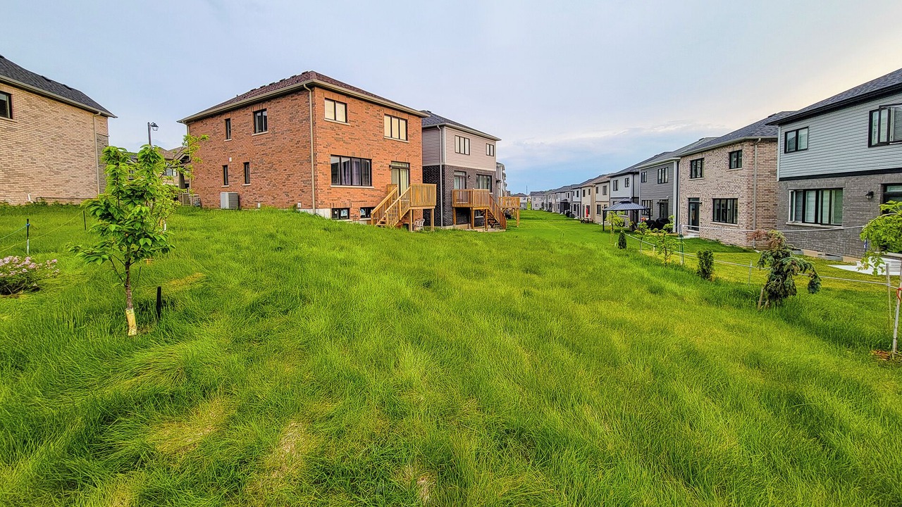Photo of Outdoor in Caledonia