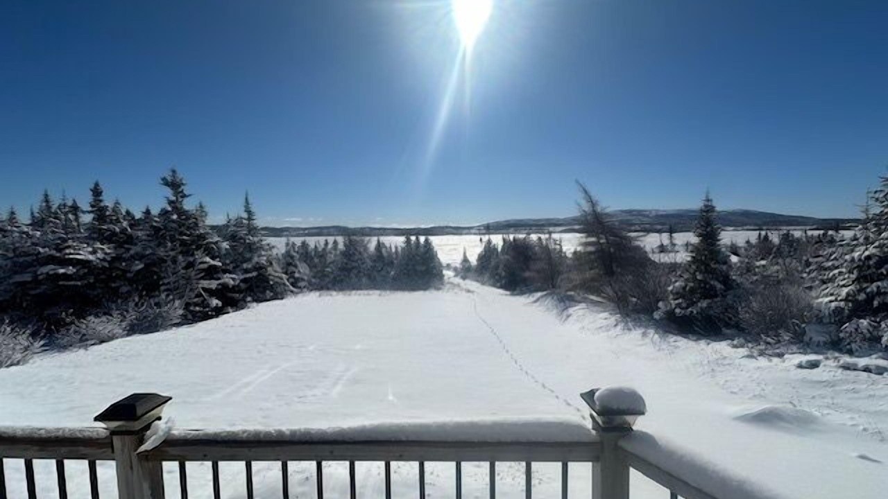 Photo of Others in Terra Nova