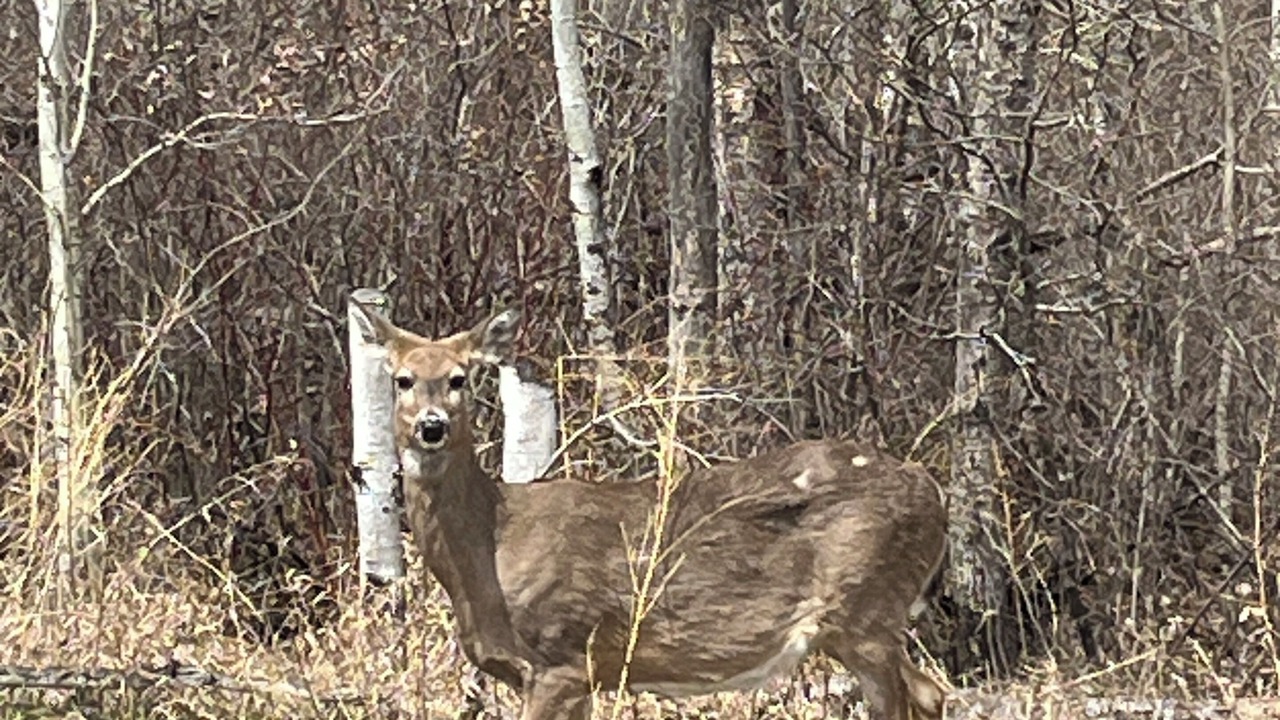 Photo of Others in Traverse Bay