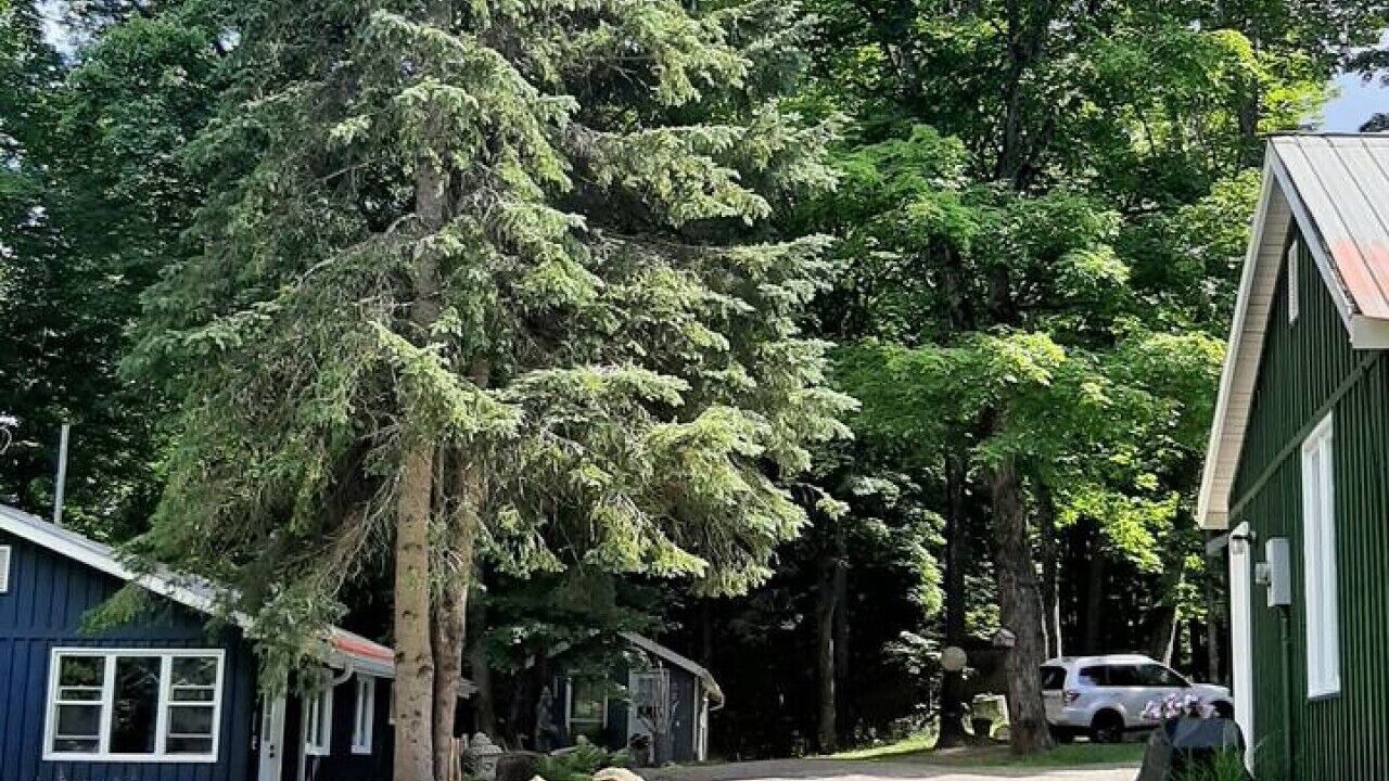 Photo of Outdoor in Dorset