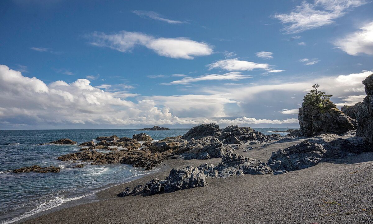 Photo of Others in Nootka