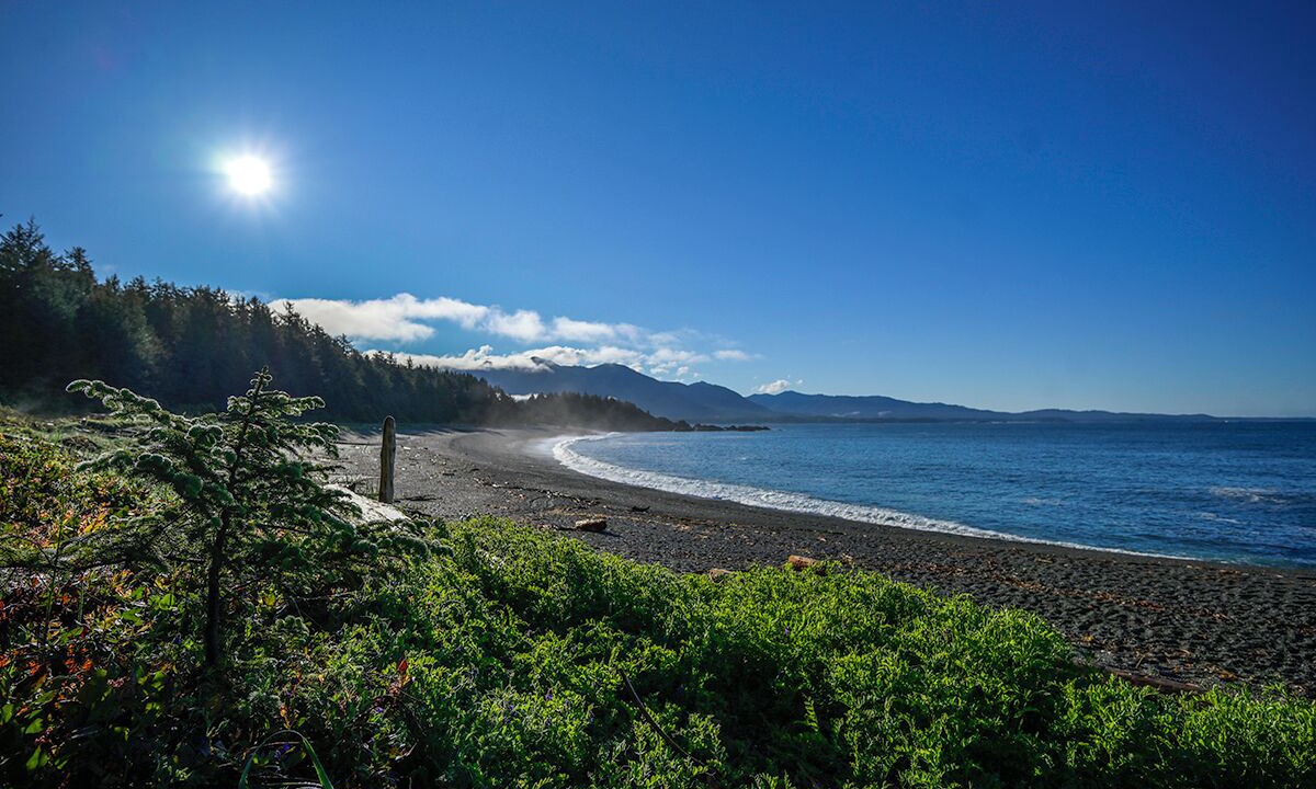 Photo of Others in Nootka