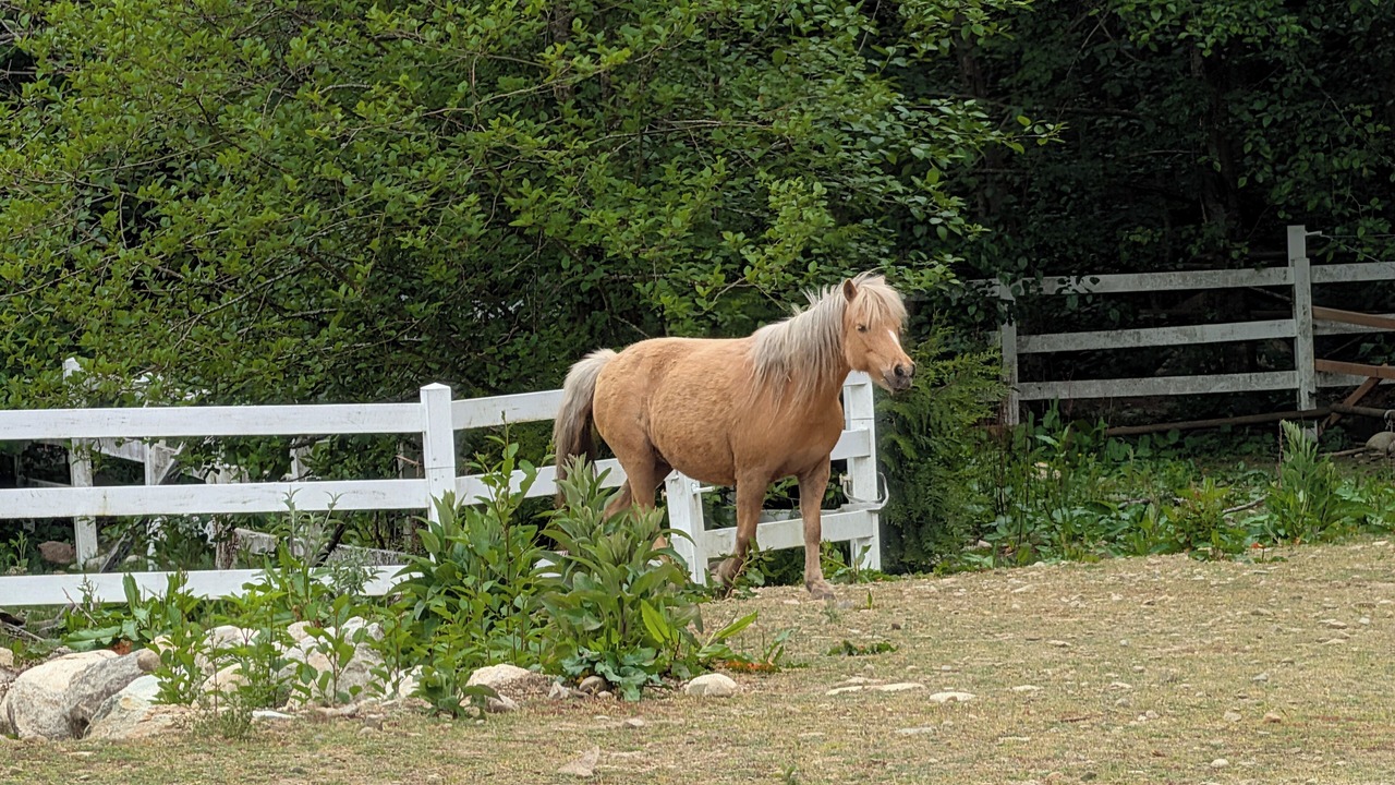 Photo of Others in Roberts Creek