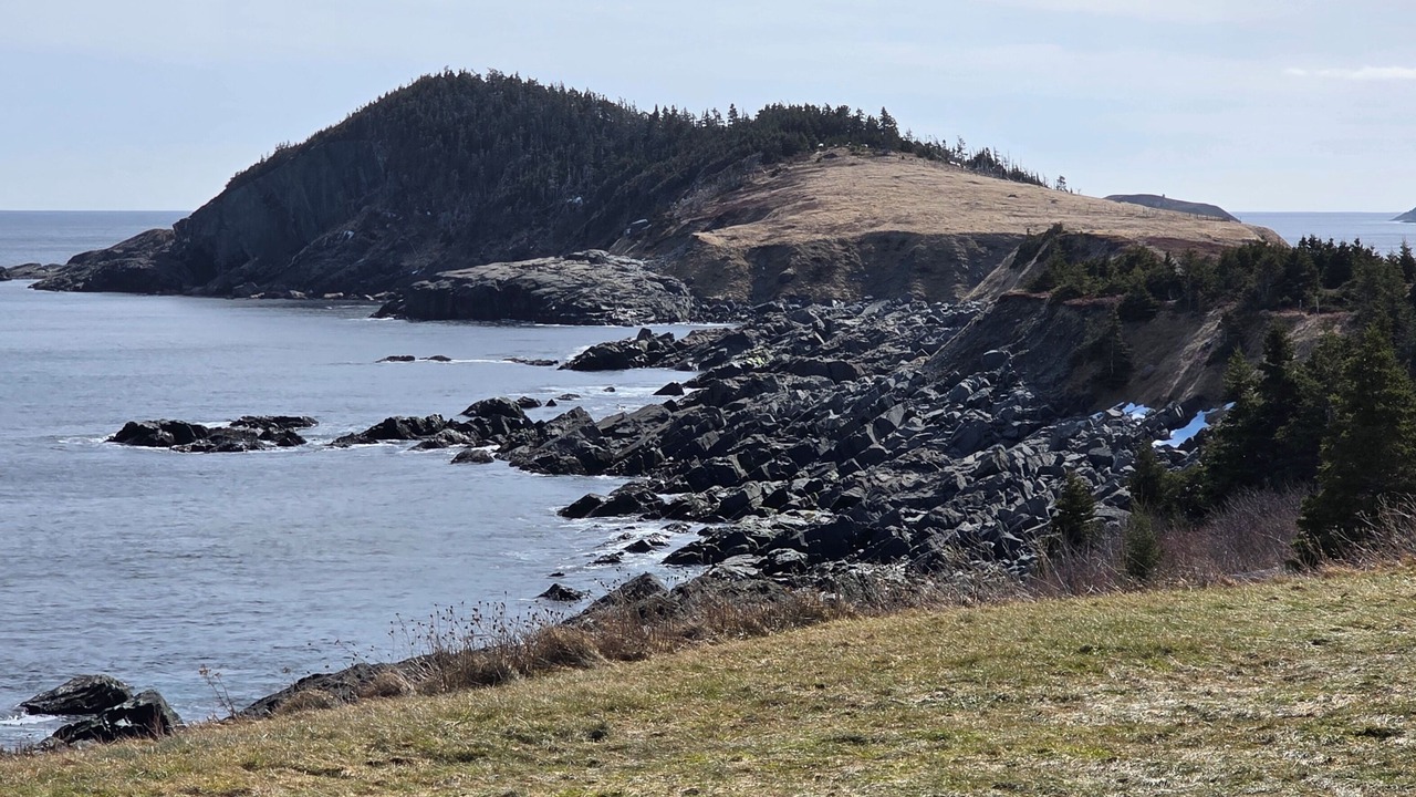 Photo of Others in Tors Cove