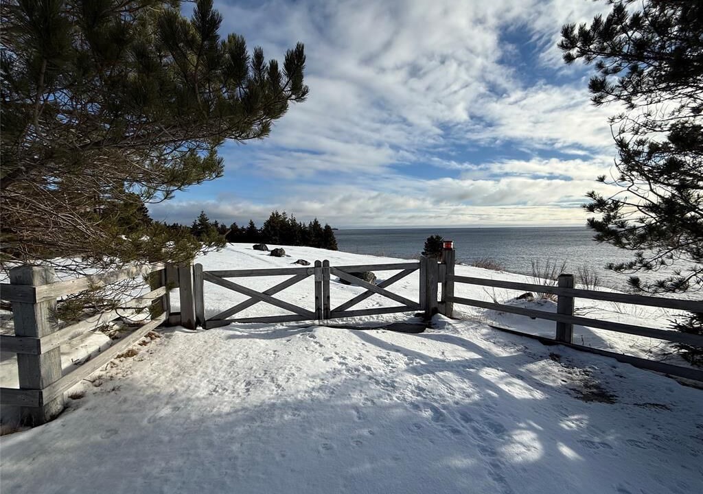 Photo of Others in Tors Cove