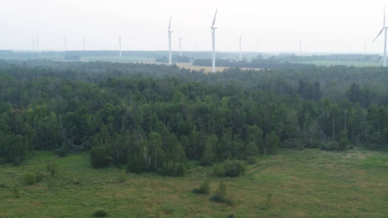Photo of Others in Melancthon