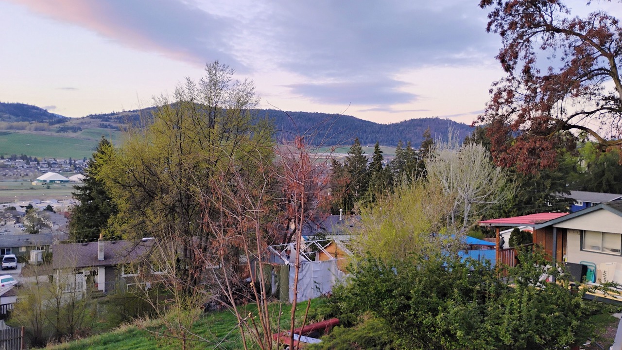 Photo of Others in Vernon